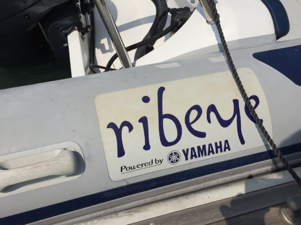 Boat Details – Ribs For Sale - Used Ribeye 6.5m RIB with Yamaha F150HP Outboard Engine and Trailer