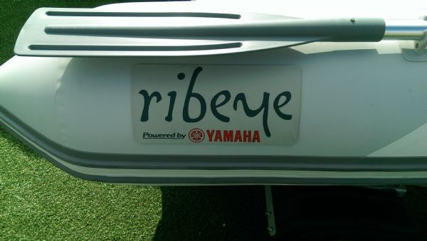Boat Details – Ribs For Sale - Ribeye TS 310 Inflatable RIB