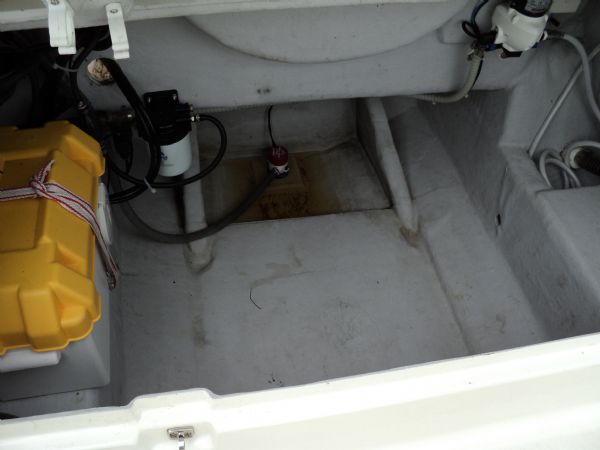 Boat Details – Ribs For Sale - Nuova Jolly King 6.0m with Suzuki 115HP 4 Stroke Engine and Trailer