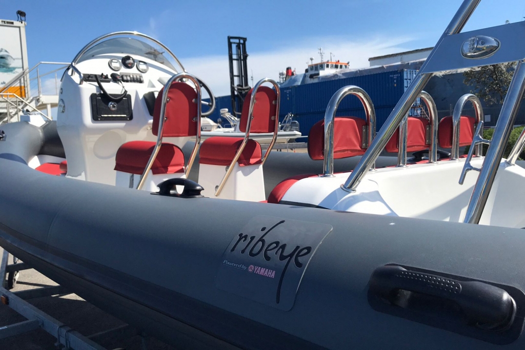 Boat Details – Ribs For Sale - Ribeye RIB A550 5.5 Yamaha F100  Trailer 2016