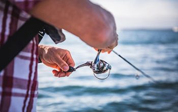 How to catch a mackerel on your RIB - Fishing for Mackerel RIBs For Sale